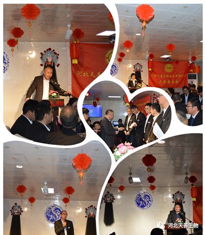 https://mmbiz.qpic.cn/mmbiz_png/ib8KJjibyFvKOQMZ3BOsibVrf9XicRVW4NibOozWSTmkVmQichMJmGdMpSAqI4qlaWajRpDta3Zkibiae57oAxwfYJfJDA/640?wx_fmt=png&wxfrom=5&wx_lazy=1&wx_co=1