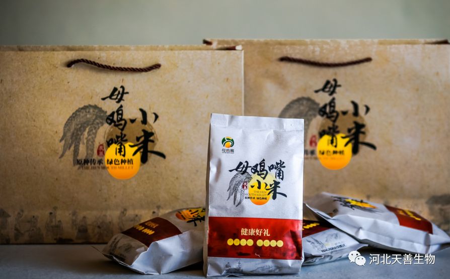 https://mmbiz.qpic.cn/mmbiz_png/ib8KJjibyFvKOQMZ3BOsibVrf9XicRVW4NibOgiaKUU6SSr0QZY2gy6IVo4Q2mc2rg3c4nXMUv1VGgOaWkOiazWyiad95A/640?wx_fmt=png&wxfrom=5&wx_lazy=1&wx_co=1