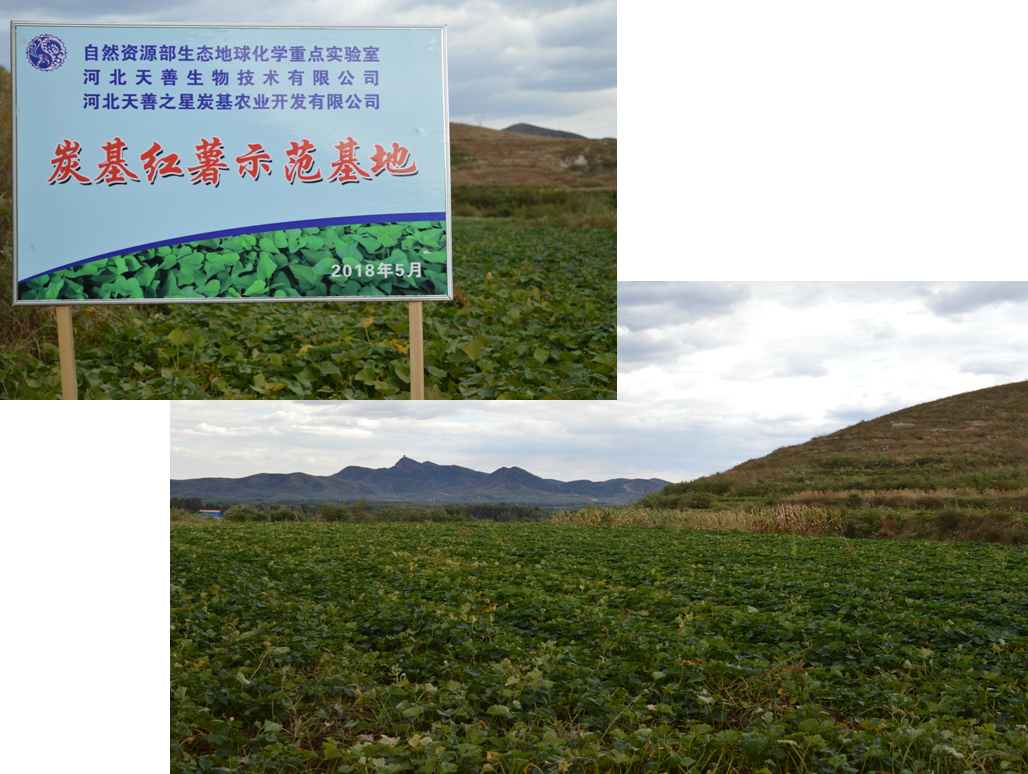 搜狗截图18年10月11日1122_2.png